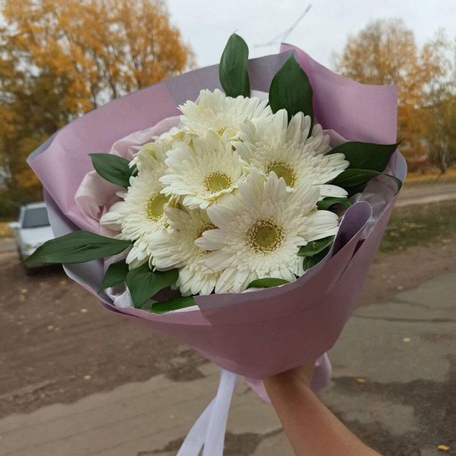 Букет из 7 белых гербер -  фото 2
